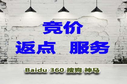SEM搜索引擎优化案例：如何提升网站流量和转化率